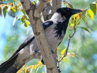 Источник фото: ru.123rf.com