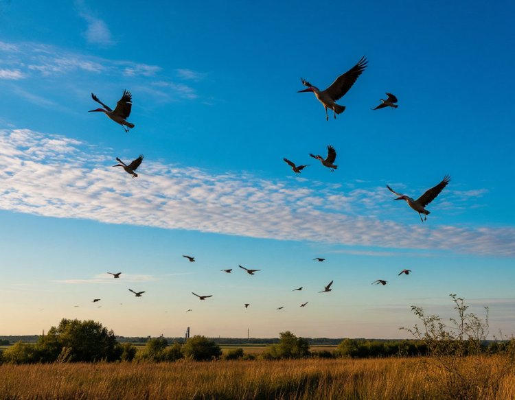 Фото: создано с помощью сервиса «Шедеврум»