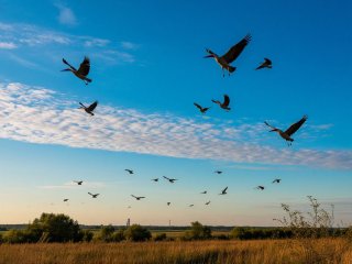 Фото: создано с помощью сервиса «Шедеврум»
