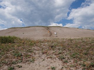 Разрез Белая гора. Фото предоставлено А.А. Кунгуровой 