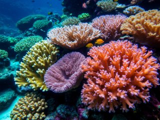 Фото: создано с помощью сервиса «Шедеврум»