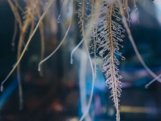 Фото Ольги Мерзляковой