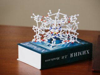 Лекция академика Юлии Горбуновой о металлоорганических каркасах. Фото: Ольга Мерзлякова / Научная Россия