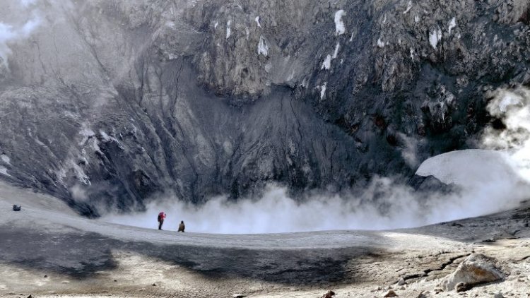 Фото: Виктор Фролов / ИВиС ДВО РАН
