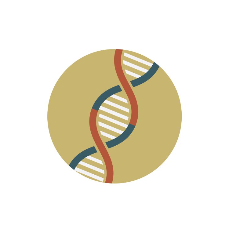 Изображение: captainvector/Фотобанк ru.123rf.com