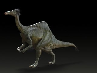 Реконструирован скелет динозавра, похожего на огромного страуса