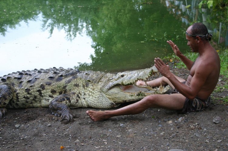Крокодилы умеют играть как дети