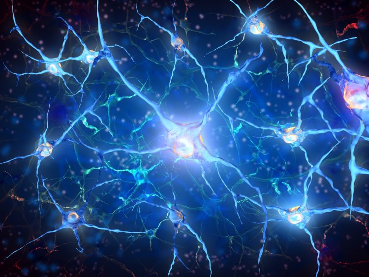 Поврежденные нейроны просят помощи у стволовых клеток