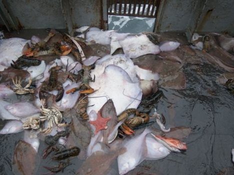 сколько вылавливается рыбы в год в мире. Смотреть фото сколько вылавливается рыбы в год в мире. Смотреть картинку сколько вылавливается рыбы в год в мире. Картинка про сколько вылавливается рыбы в год в мире. Фото сколько вылавливается рыбы в год в мире сколько вылавливается рыбы в год в мире. Смотреть фото сколько вылавливается рыбы в год в мире. Смотреть картинку сколько вылавливается рыбы в год в мире. Картинка про сколько вылавливается рыбы в год в мире. Фото сколько вылавливается рыбы в год в мире