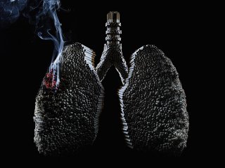 Пачка сигарет в день = 150 мутаций в каждом легком ежегодно