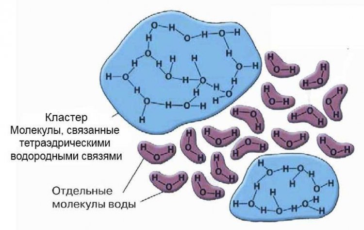 Изображение предоставлено исследователями