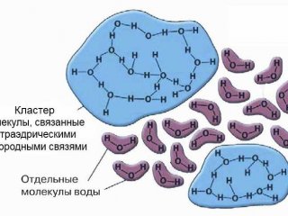 Изображение предоставлено исследователями