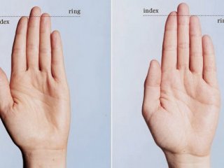 Антропологи МГУ: длина пальцев связана с возрастом наступления менопаузы, репродуктивным возрастом и возникновением остеоартрита у чувашей