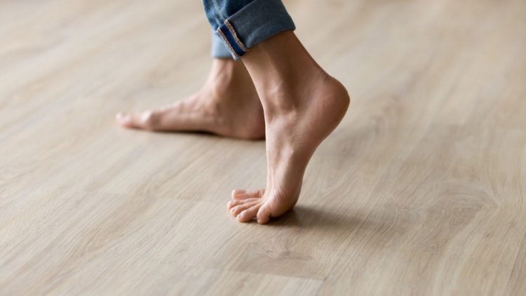 Развитие поперечного свода стопы помогло гоминидам ходить прямо