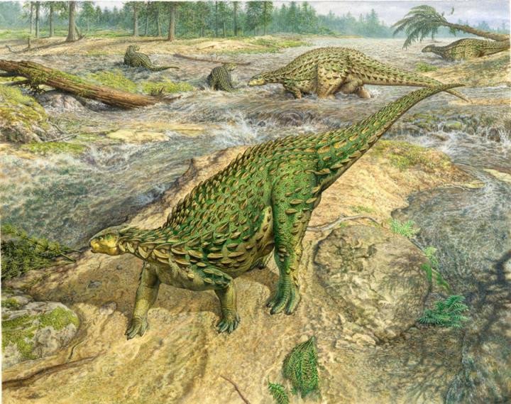 Скелет динозавра, обнаруженного 160 лет назад, встроен в генеалогическое древо динозавров