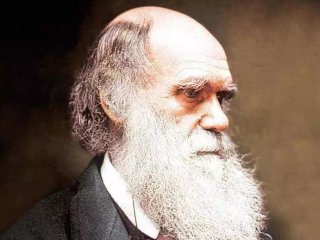 2 октября 1836 г. Дарвин вернулся из кругосветного путешествия