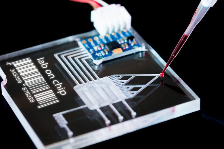 Исследователи напечатали на 3D-принтере уникальные микроканалы для жидкости