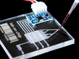 Исследователи напечатали на 3D-принтере уникальные микроканалы для жидкости
