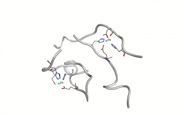 Модель начальной стадии образования агрегатов из амилоидов, в которой четыре белковых молекулы соединяются с двумя ионами цинка. Источник: Алексей Аджубей