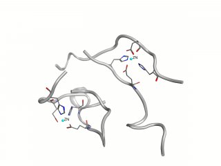 Модель начальной стадии образования агрегатов из амидоидов, в которой четыре белковых молекулы соединяются с двумя ионами цинка. Источник Алексей Аджубей