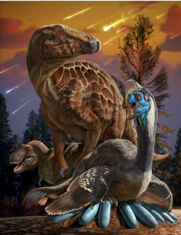 Исследование: разнообразие динозавров сократилось перед массовым вымиранием 