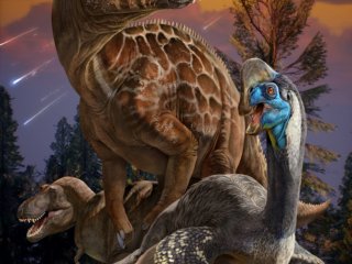 Исследование: разнообразие динозавров сократилось перед массовым вымиранием 