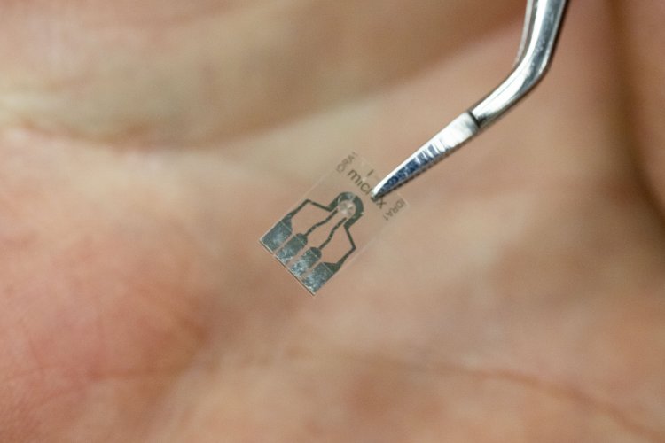 Напечатанный чип