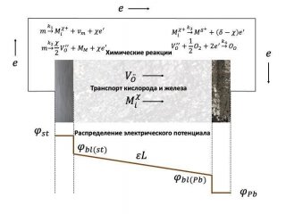 Схематическое изображение основных процессов, входящих в физико-химическую модель жидкометаллической коррозии. Источник: пресс-служба МФТИ