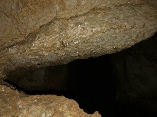 Ученые КФУ обнаружили три новые пещеры в Абхазии. Источник фото: КФУ
