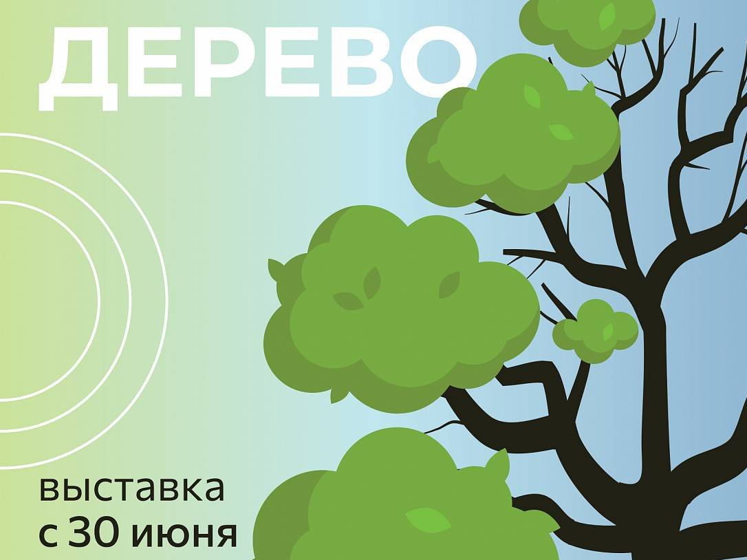 Выставка «Дерево живое и мёртвое»