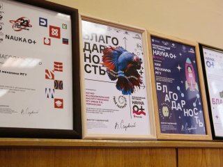 Фото Ольги Мерзляковой