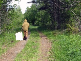 Старший научный сотрудник Института биологии КарНЦ РАН Любовь Беспятова ведет сбор клещей «на флаг». Всего ученые собрали тысячу особей. Источник: Институт биологии КарНЦ РАН