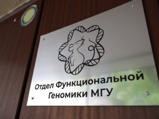 Новый виварий заработал в МГУ на базе Научно-исследовательского института физико-химической биологии им. А.Н. Белозерского. Фото: Елена Либрик / «Научная Россия»