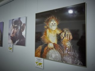 Фото: Елена Либрик / Научная Россия