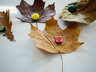 Фото: Ольга Мерзлякова / «Научная Россия»