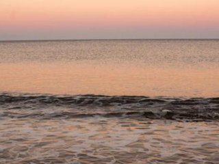 Закисление океана в прибрежных районах заметно ускорилось. Фото: University of St Andrews / Hana Jurikova