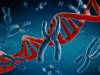 Фото: phonlamaiphoto / 123RF