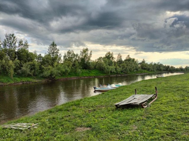 Автор фото: Светлана Волошина
