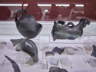 Фото: Елена Либрик / «Научная Россия»