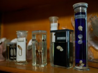 На биологическом факультете МГУ. Фото: Елена Либрик / «Научная Россия»