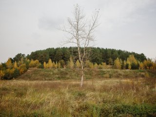 Заборье. Фото: Ольга Мерзлякова / «Научная Россия»