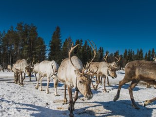 Фото: Фотобанк Freepik