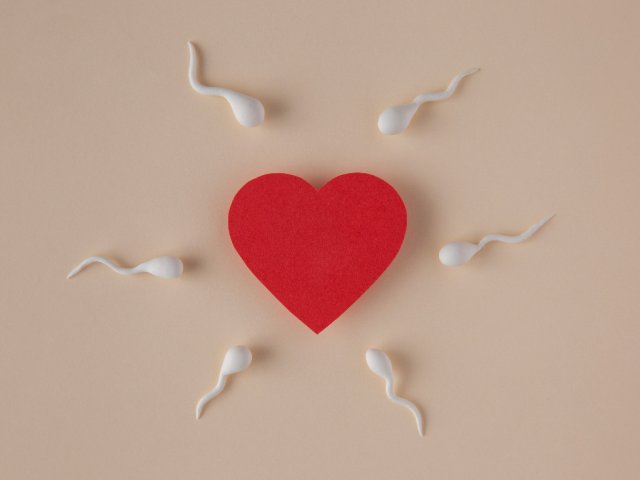 Инновационный чип для селекции сперматозоидов разработали в НМИЦ АГП им. В.И. Кулакова. Источник изображения: freepik / фотобанк Freepik