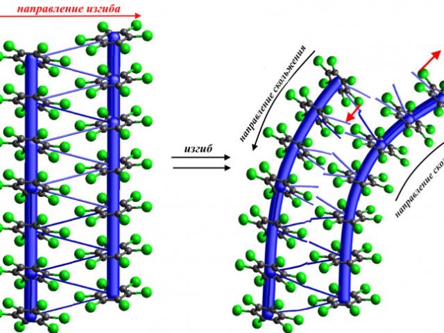 Иллюстрация Ирины Третьяковой