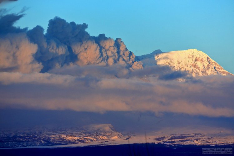 Фото: Юрий Демянчук / ИВиС ДВО РАН