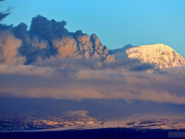 Фото: Юрий Демянчук / ИВиС ДВО РАН