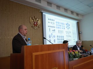 Фото: Елена Либрик / «Научная Россия»