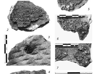 Источник фото: Ольга Лозовская