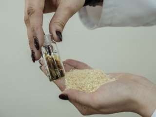 Образец сульфатированного полисахарида и опилки ели. Фото Анастасии Тамаровской