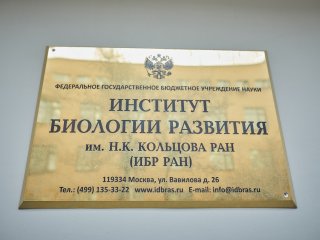 Фото: Елена Либрик / «Научная Россия»